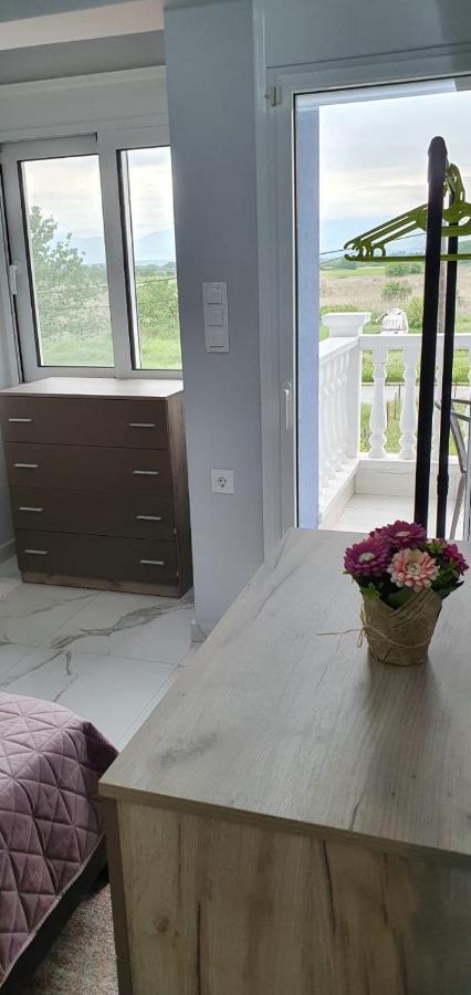 Apartmani Dedalus ปาราเลียกาเตอรีนิส ภายนอก รูปภาพ