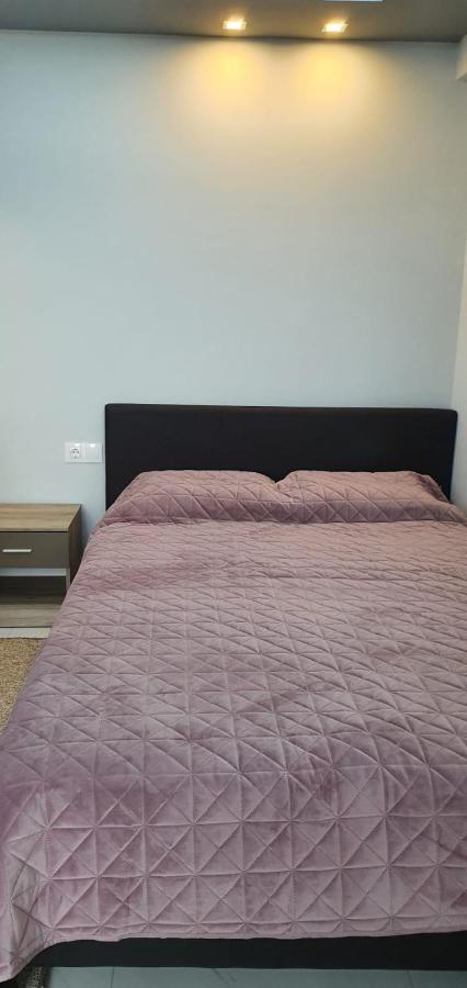 Apartmani Dedalus ปาราเลียกาเตอรีนิส ภายนอก รูปภาพ