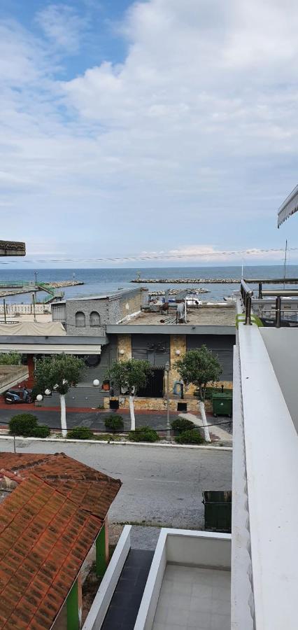Apartmani Dedalus ปาราเลียกาเตอรีนิส ภายนอก รูปภาพ
