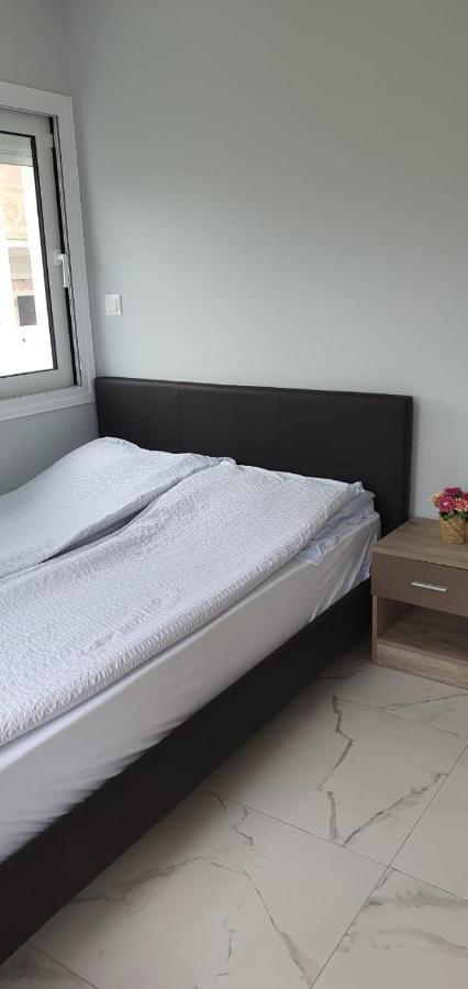 Apartmani Dedalus ปาราเลียกาเตอรีนิส ภายนอก รูปภาพ
